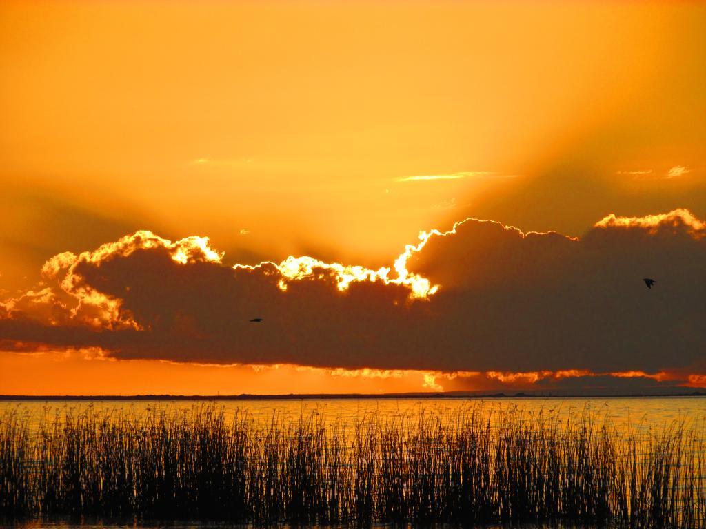 فندق Lake Albert Caravan Park Meningie المظهر الخارجي الصورة